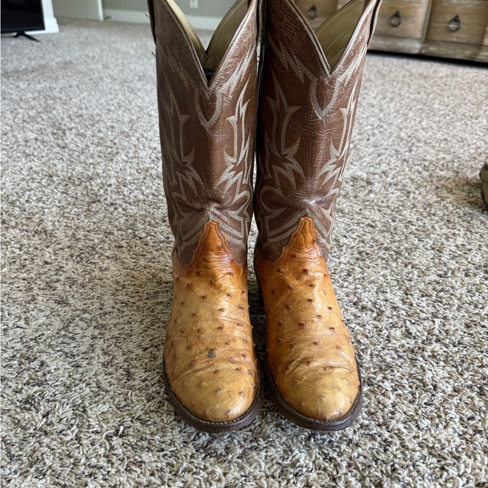 Tony Lama Brown and Tan Ostrich Boots